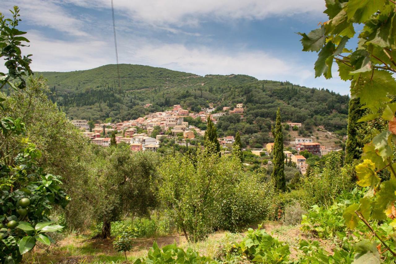 Polikseni House Villa Agios Gordios  Luaran gambar